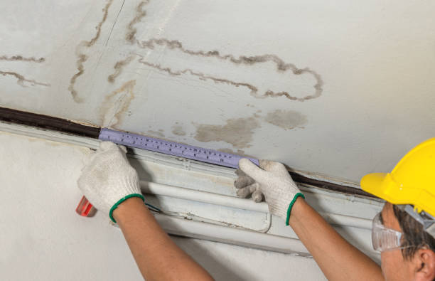 Reliable Water Damage contractor in Clinton Township, MI by Water Damage Irwin